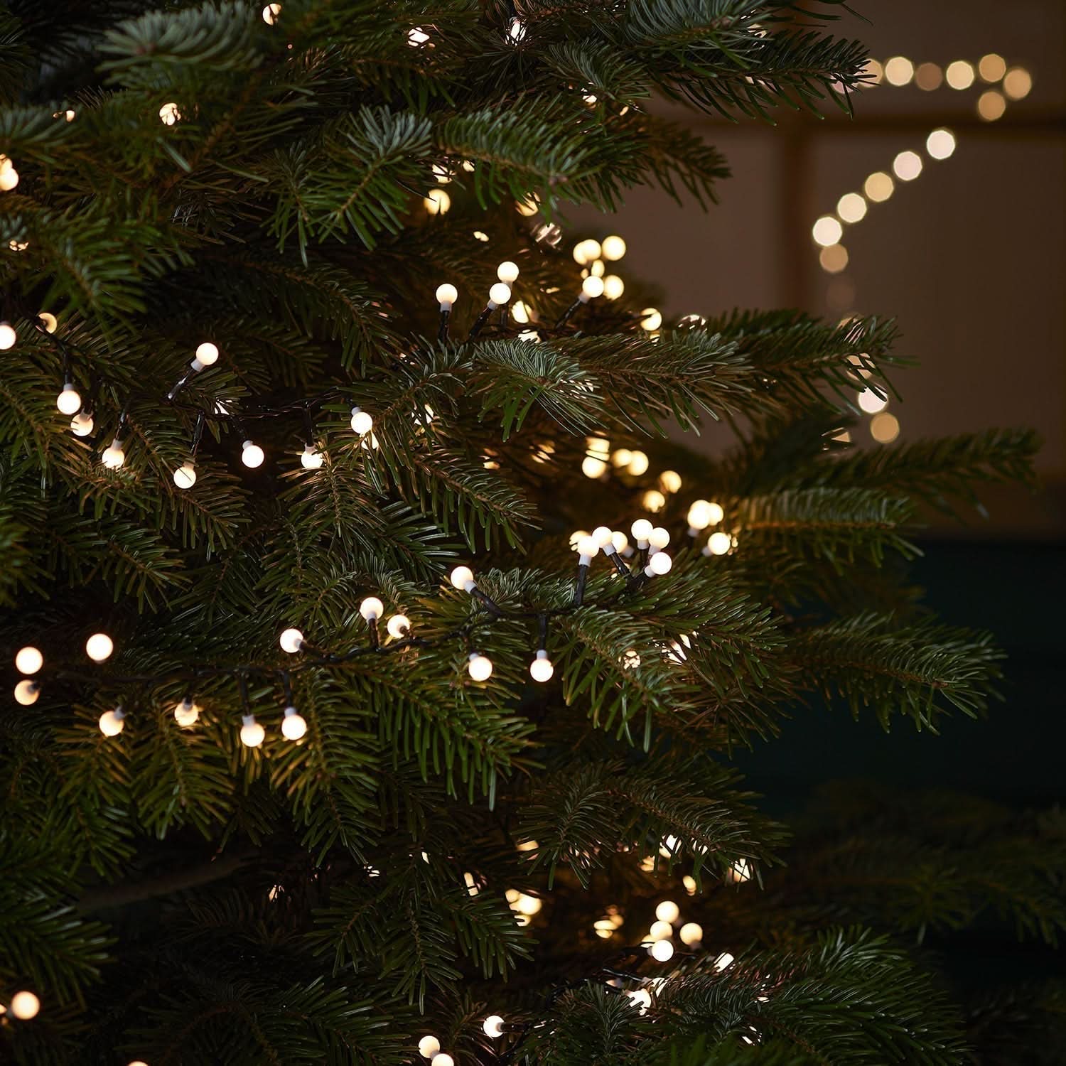 500 LED Berry Lights