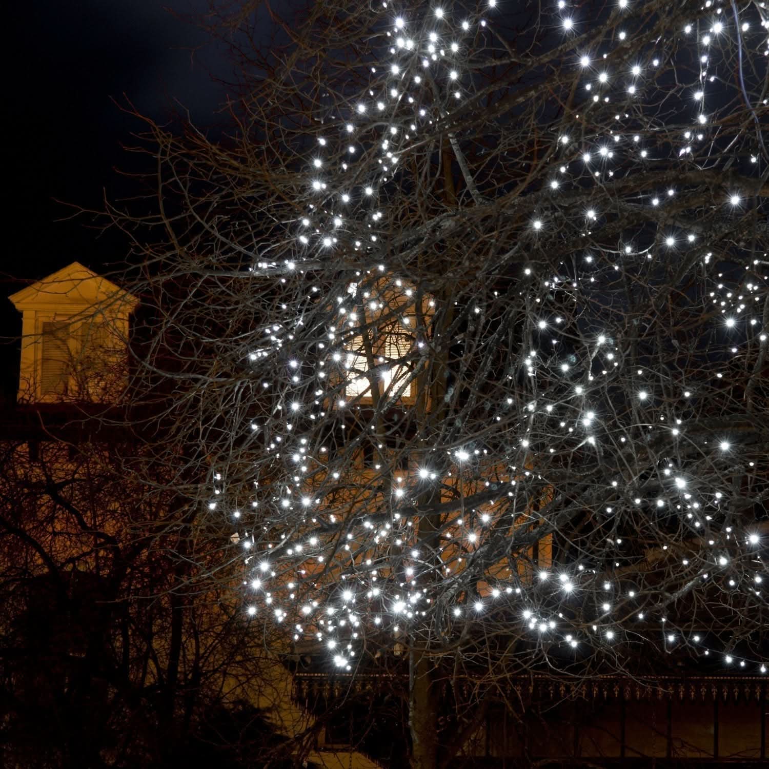 Conjunto de 100 Luzes de Natal LED Brancas