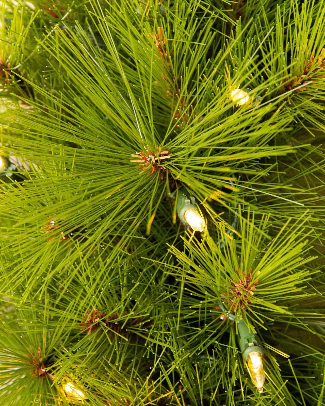 Árvore de Natal Verde Monterey Pine com Galhos Longos, Base Metálica e Micro LEDs Integrados