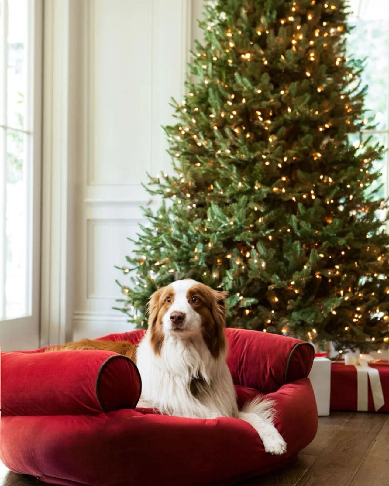 Árvore de Natal Verde White Spruce com Galhos Articulados, Base Metálica e Micro LEDs Integrados