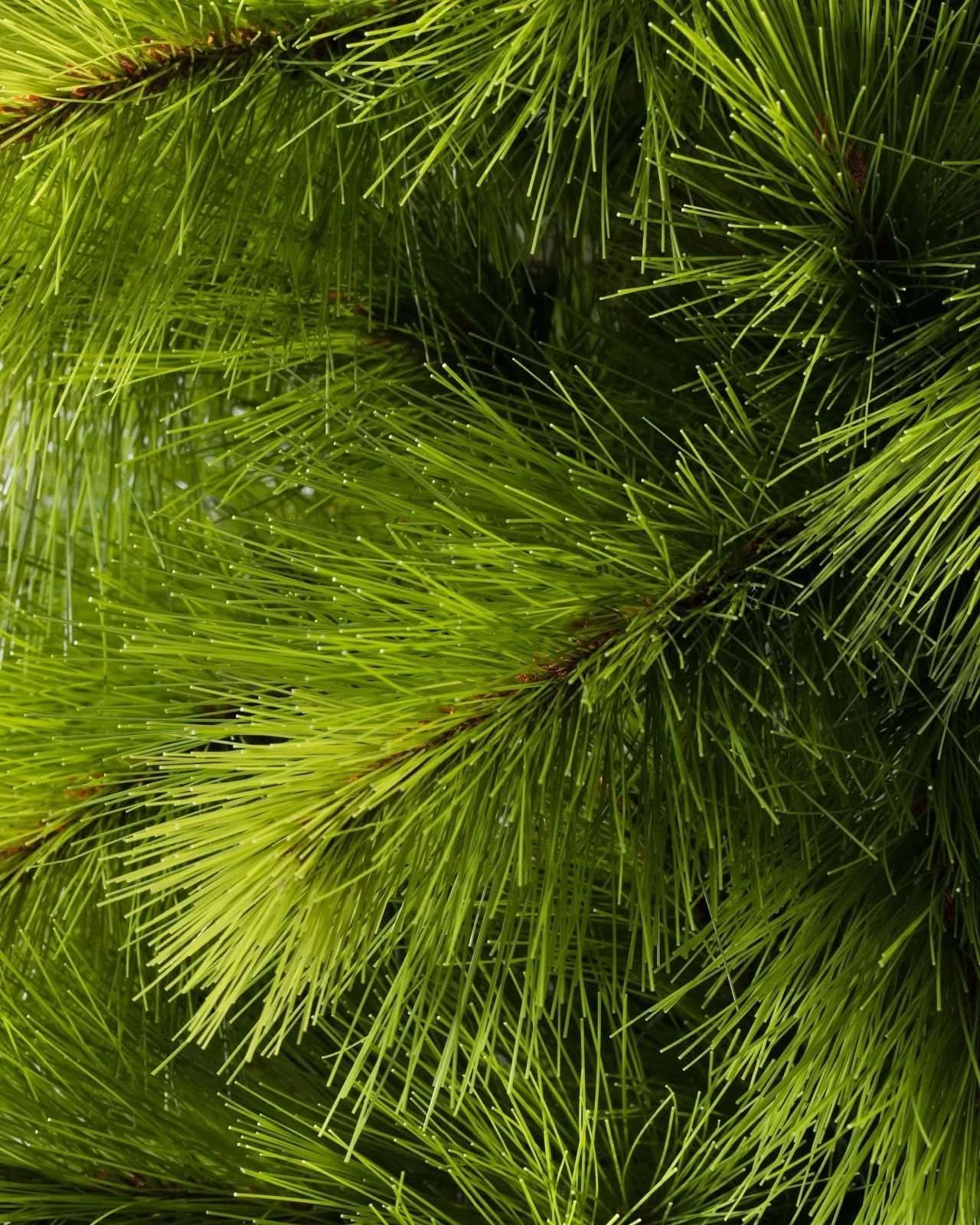 Árvore de Natal Slim Monterey Pine com Galhos Flexíveis, Base Metálica e Micro LEDs Integrados