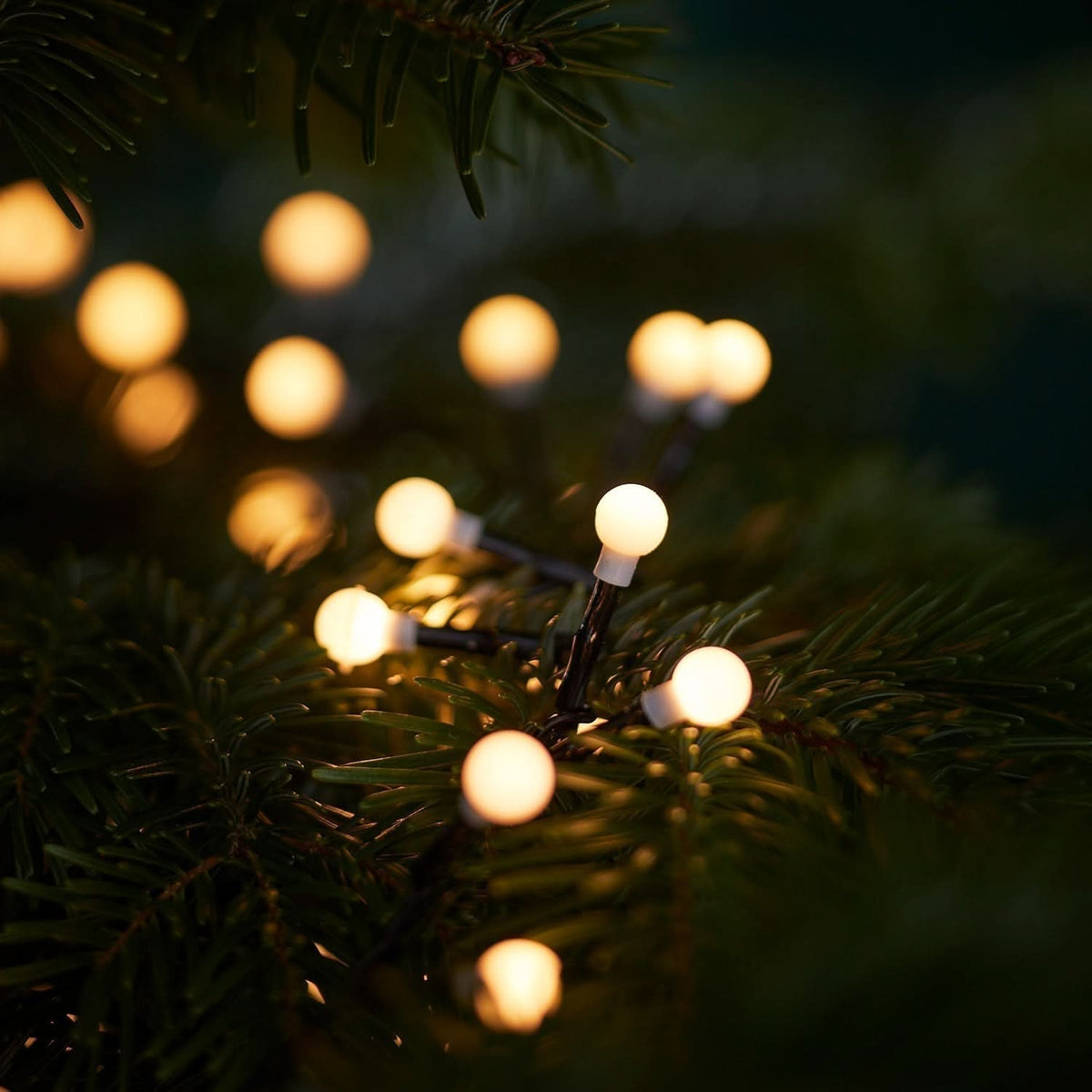 500 LED Berry Lights