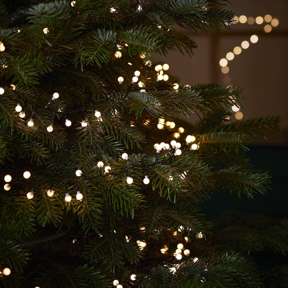 500 LED Berry Lights