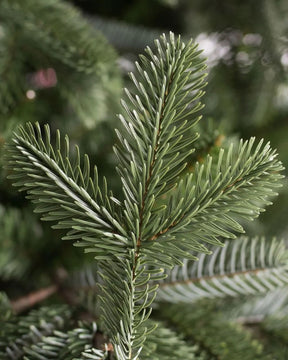 Árvore de Natal European Fir com Galhos Flexíveis, Base Metálica e Micro LEDs Integrados