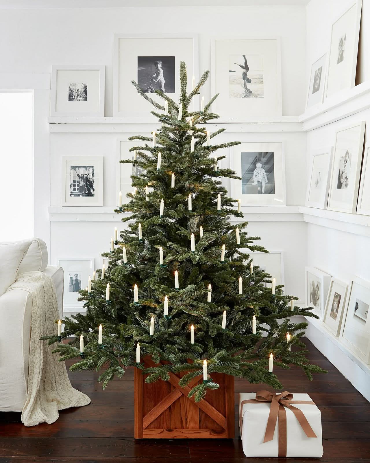 Árvore de Natal European Fir com Galhos Flexíveis, Base Metálica e Micro LEDs Integrados