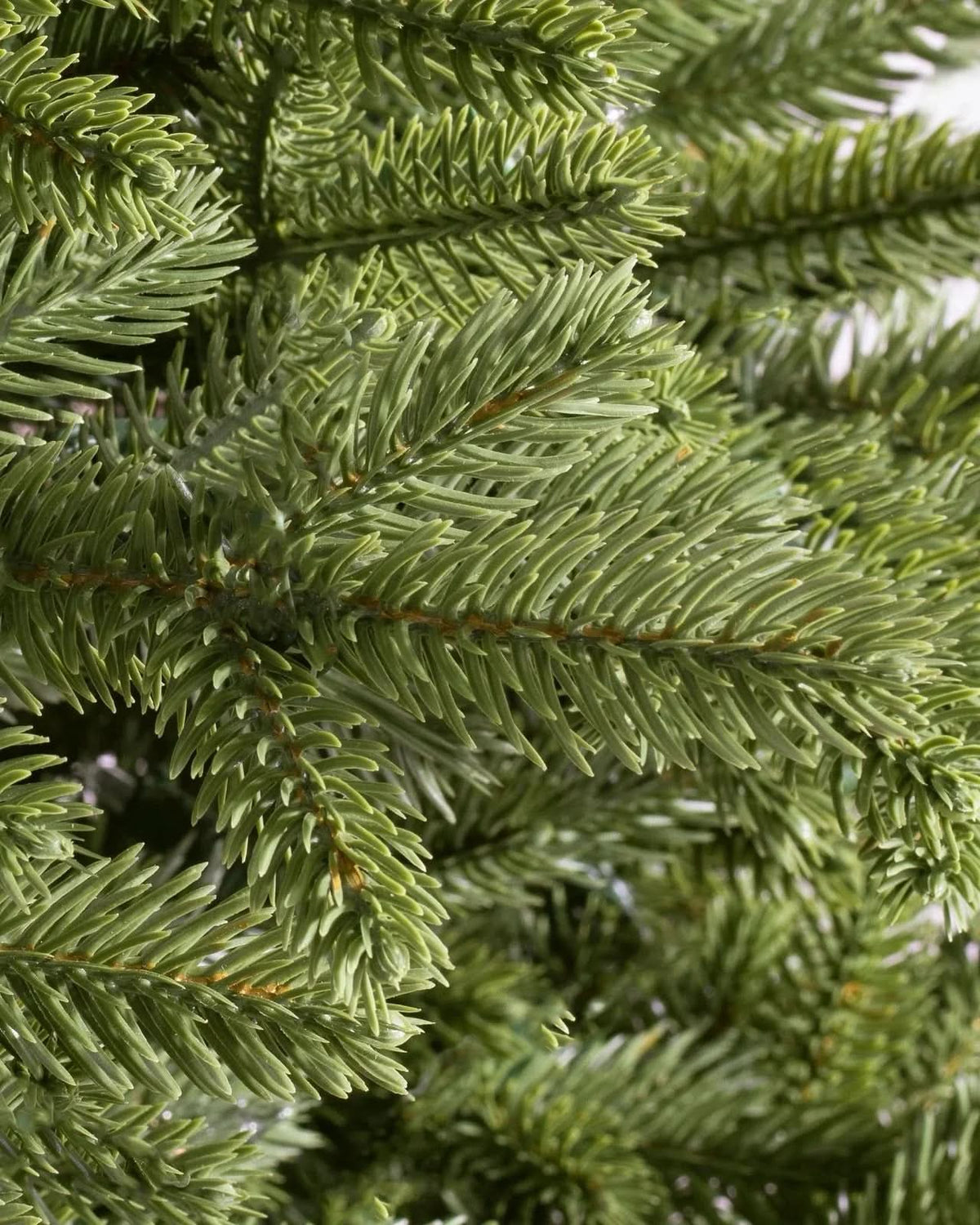 Árvore de Natal Norway Spruce com Galhos Ajustáveis, Base Metálica e Micro LEDs Coloridos Integrados