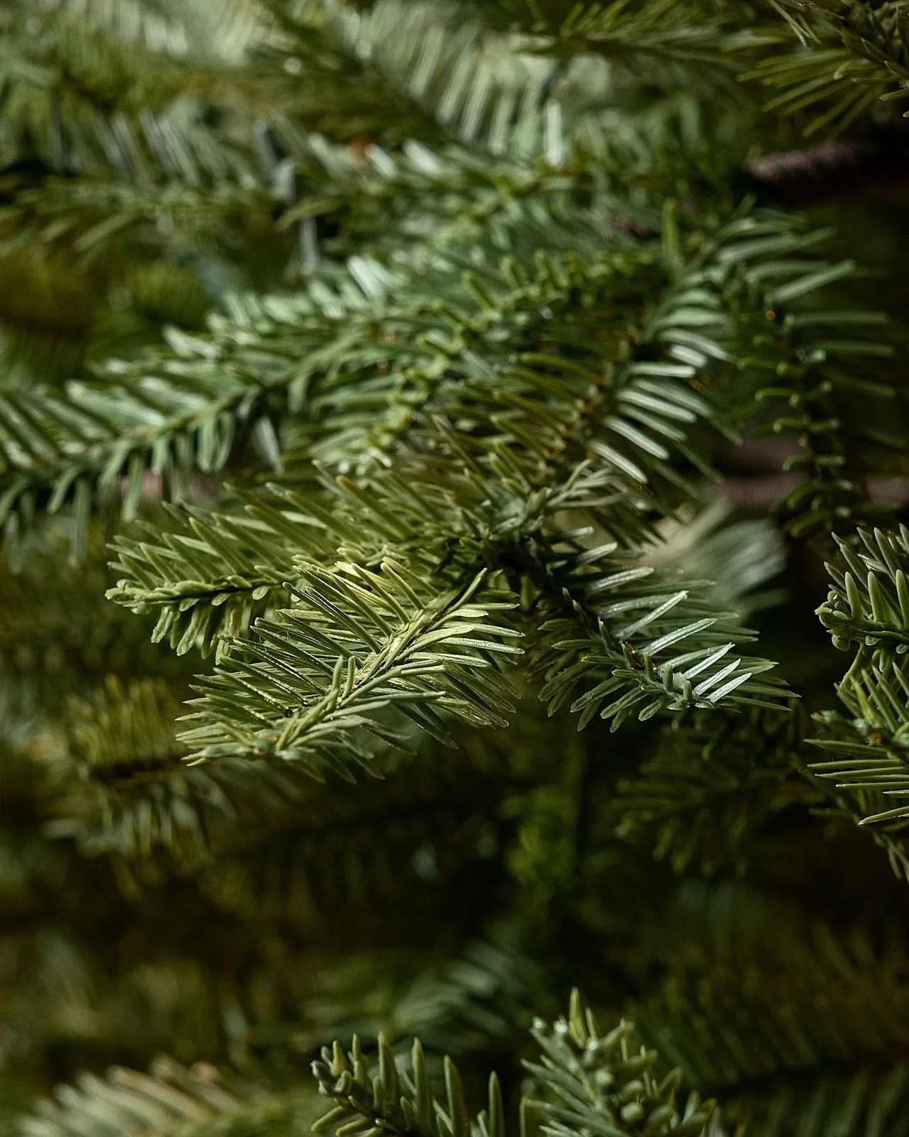 Árvore de Natal Premium Verde com Galhos Flexíveis, Base Metálica e Micro LEDs Integrados