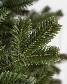 Árvore de Natal Fraser Fir com Galhos Flexíveis, Base Metálica e Micro LEDs Coloridos Integrados