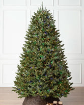 Árvore de Natal Fraser Fir com Galhos Flexíveis, Base Metálica e Micro LEDs Coloridos Integrados